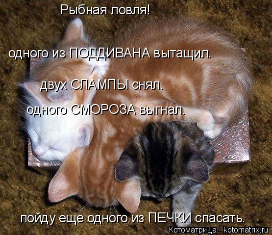 Рыбная ловля! одного из ПОДДИВАНА вытащил. пойду еще одного из ПЕЧКИ спасать. одного СМОРОЗА выгнал. ... Котоматрица: Рыбная ловля! одного из ПОДДИВАНА вытащил. пойду еще одного из ПЕЧКИ спасать. одного СМОРОЗА выгнал. двух СЛАМПЫ снял.