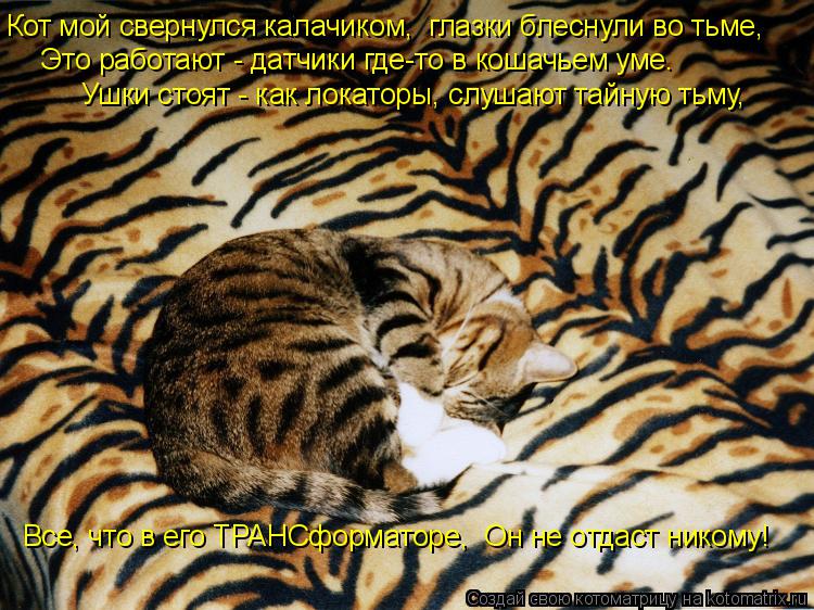 Кот мой свернулся калачиком, глазки блеснули во тьме, Это работают - датчики где-то в кошачьем уме.... Котоматрица: Кот мой свернулся калачиком, глазки блеснули во тьме, Это работают - датчики где-то в кошачьем уме. Ушки стоят - как локаторы, слушают тайну