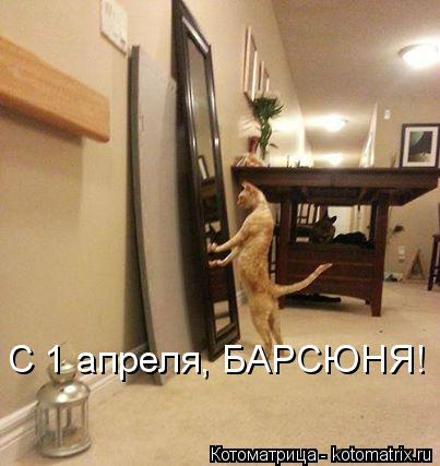 Котоматрица: С 1 апреля, БАРСЮНЯ!