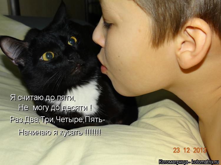 Я считаю до пяти, Не могу до десяти ! Раз,Два,Три,Четыре,Пять- Начинаю я кусать !!!!!!!... Котоматрица: Я считаю до пяти, Не могу до десяти ! Раз,Два,Три,Четыре,Пять- Начинаю я кусать !!!!!!!