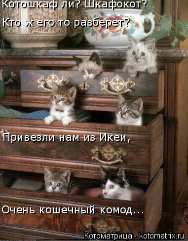 Котоматрица: Котошкаф ли? Шкафокот? Кто ж его то разберет? Привезли нам из Икеи, Очень кошечный комод...