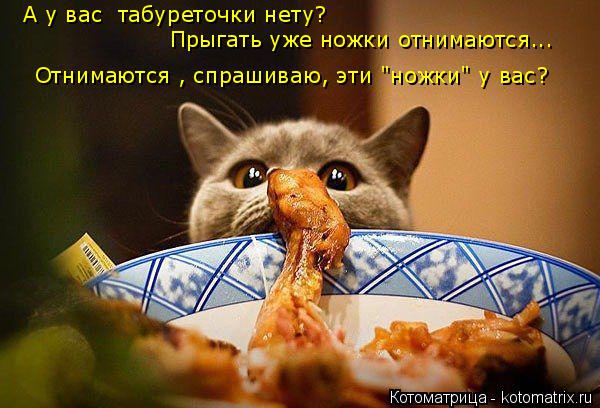 Котоматрица: А у вас  табуреточки нету? Прыгать уже ножки отнимаются... Отнимаются , спрашиваю, эти "ножки" у вас?