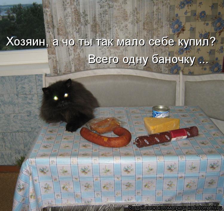 Котоматрица: Хозяин, а чо ты так мало себе купил? Всего одну баночку ...