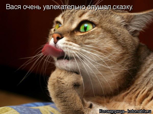 Вася очень увлекательно слушал сказку.... Котоматрица: Вася очень увлекательно слушал сказку.