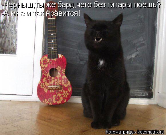 Котоматрица: -Черныш,ты же бард,чего без гитары поёшь? -А мне и так нравится!