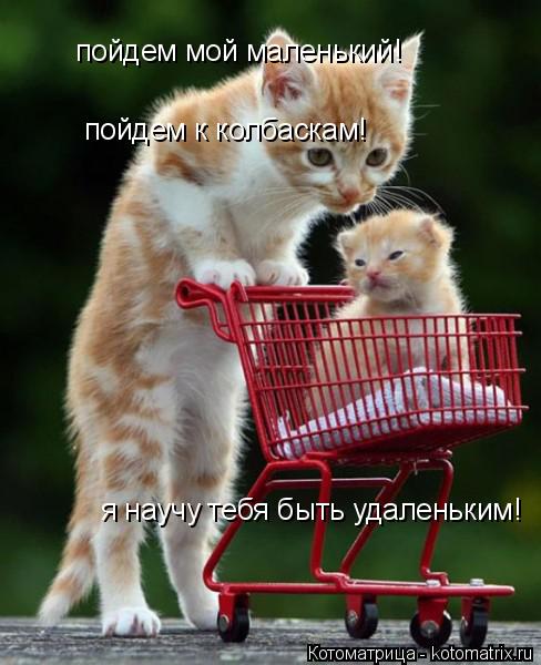 Котоматрица: пойдем мой маленький! пойдем к колбаскам! я научу тебя быть удаленьким!
