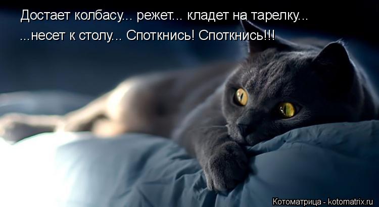 Котоматрица: Достает колбасу... режет... кладет на тарелку... ...несет к столу... Споткнись! Споткнись!!!