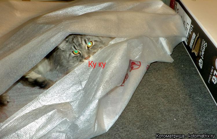 Ку ку... Котоматрица: Ку ку