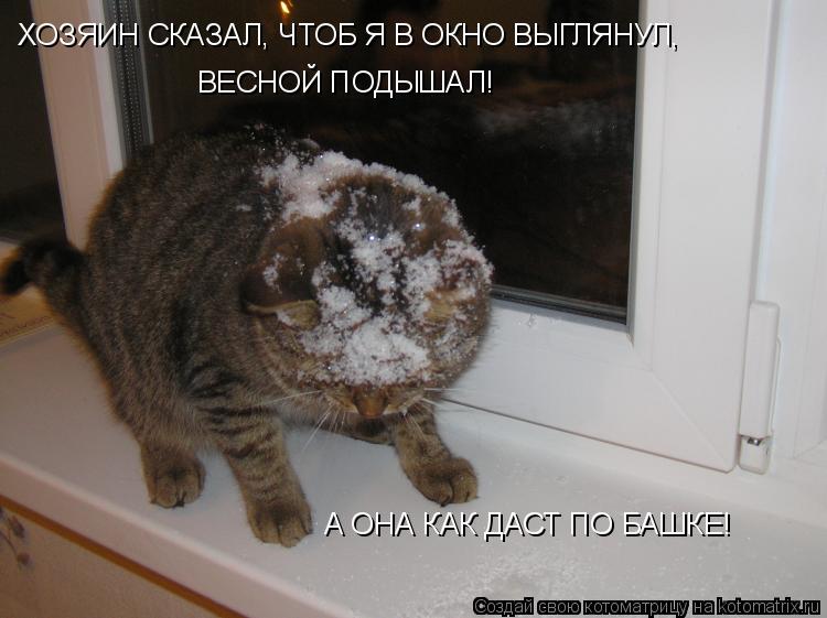 ХОЗЯИН СКАЗАЛ, ЧТОБ Я В ОКНО ВЫГЛЯНУЛ, ВЕСНОЙ ПОДЫШАЛ! А ОНА КАК ДАСТ ПО БАШКЕ!... Котоматрица: ХОЗЯИН СКАЗАЛ, ЧТОБ Я В ОКНО ВЫГЛЯНУЛ, ВЕСНОЙ ПОДЫШАЛ! А ОНА КАК ДАСТ ПО БАШКЕ!