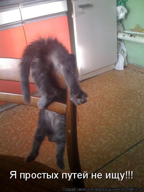 Котоматрица: Я простых путей не ищу!!!