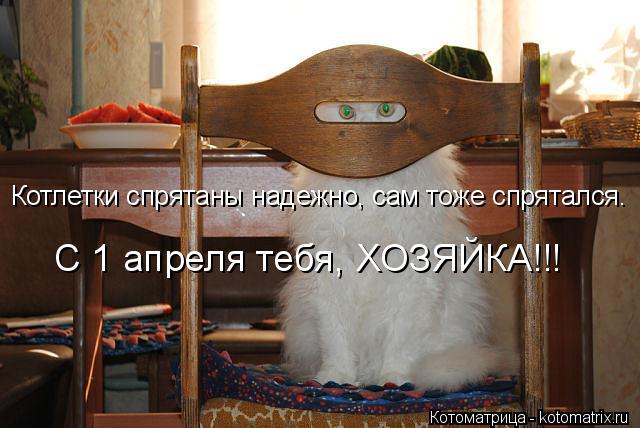 Котоматрица: С 1 апреля тебя, ХОЗЯЙКА!!! Котлетки спрятаны надежно, сам тоже спрятался.