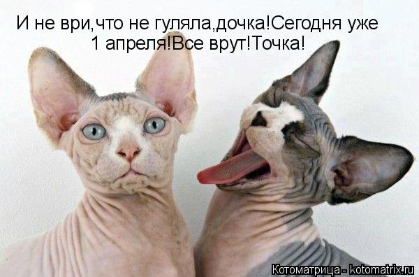 Котоматрица: И не ври,что не гуляла,дочка!Сегодня уже  1 апреля!Все врут!Точка!