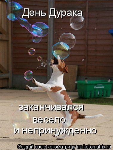 Котоматрица: День Дурака заканчивался весело  и непринужденно