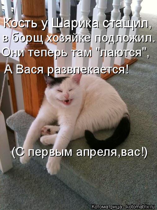 Котоматрица: Кость у Шарика стащил, в борщ хозяйке подложил. А Вася развлекается! (С первым апреля,вас!) Они теперь там "лаются",