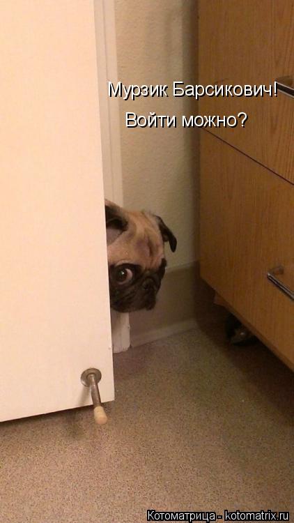 Котоматрица: Войти можно? Мурзик Барсикович!