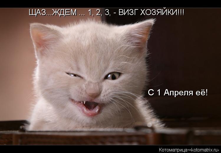 Котоматрица: ЩАЗ...ЖДЕМ ... 1, 2, 3, - ВИЗГ ХОЗЯЙКИ!!! С 1 Апреля её!