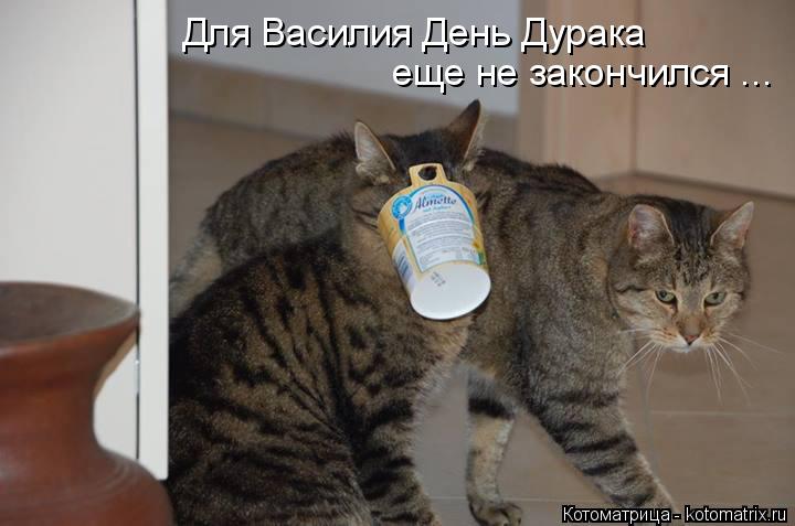 Котоматрица: Для Василия День Дурака  еще не закончился ...