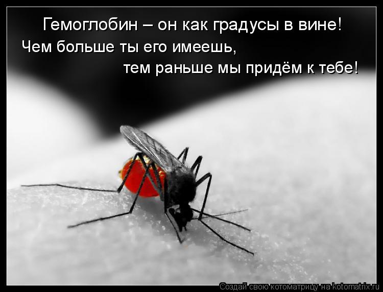 Котоматрица: Гемоглобин – он как градусы в вине! Чем больше ты его имеешь,  тем раньше мы придём к тебе!