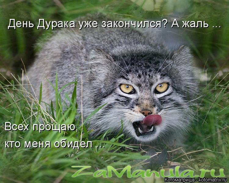 Котоматрица: День Дурака уже закончился? А жаль ... Всех прощаю, кто меня обидел ...