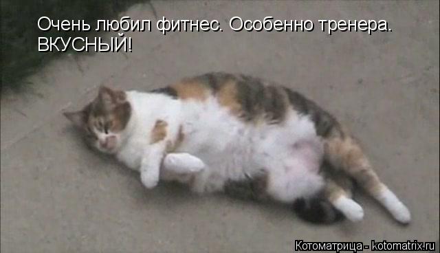 Очень любил фитнес. Особенно тренера. ВКУСНЫЙ!... Котоматрица: Очень любил фитнес. Особенно тренера. ВКУСНЫЙ!