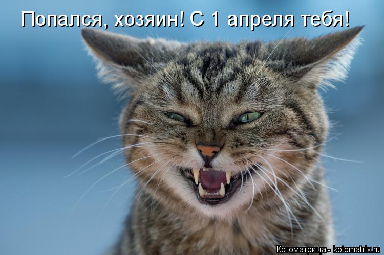 Котоматрица: Попался, хозяин! С 1 апреля тебя!
