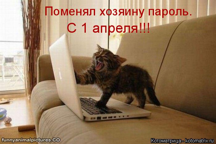 Котоматрица: Поменял хозяину пароль. С 1 апреля!!!