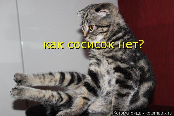 Котоматрица: как сосисок нет?