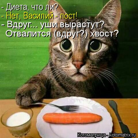 - Диета, что ли? - Нет, Василий - пост! - Вдруг... уши вырастут? Отвалится (вдруг?) хвост?... Котоматрица: - Диета, что ли? - Нет, Василий - пост! - Вдруг... уши вырастут? Отвалится (вдруг?) хвост?