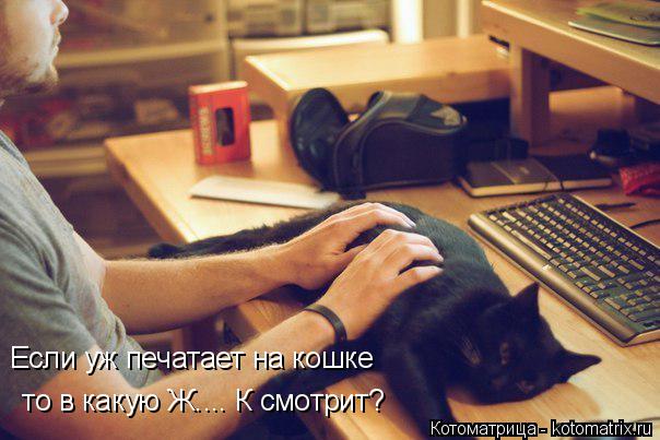 Если уж печатает на кошке то в какую Ж.... К смотрит?... Котоматрица: Если уж печатает на кошке то в какую Ж.... К смотрит?