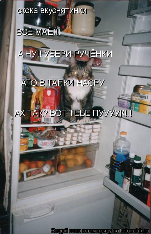 Котоматрица: скока вкуснятинки ВСЁ МАЁ!!! А НУ!! УБЕРИ РУЧЁНКИ АТО В ТАПКИ НАСРУ АХ ТАК? ВОТ ТЕБЕ ПУУУУК!!!