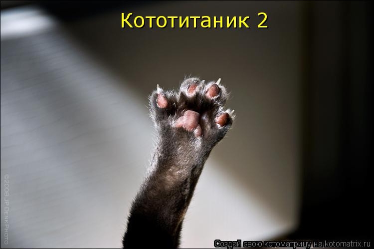 Котоматрица: Кототитаник 2