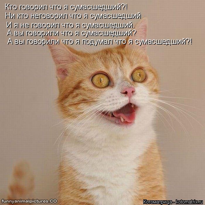 Кто говорил что я сумасшедший?! Ни кто неговорил что я сумасшедший И я не говорил что я сумасшедший. ... Котоматрица: Кто говорил что я сумасшедший?! Ни кто неговорил что я сумасшедший И я не говорил что я сумасшедший. А вы говорили что я сумасшедший? А вы гов