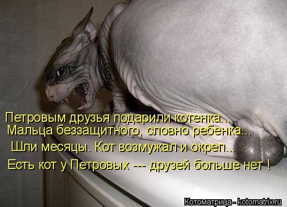 Петровым друзья подарили котенка... Шли месяцы. Кот возмужал и окреп... Есть кот у Петровых --- друзе... Котоматрица: Петровым друзья подарили котенка... Шли месяцы. Кот возмужал и окреп... Есть кот у Петровых --- друзей больше нет ! Мальца беззащитного, словно