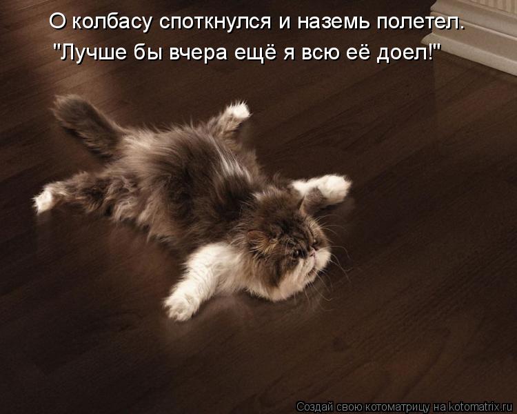 О колбасу споткнулся и наземь полетел. "Лучше бы вчера ещё я всю её доел!"... Котоматрица: О колбасу споткнулся и наземь полетел. "Лучше бы вчера ещё я всю её доел!"