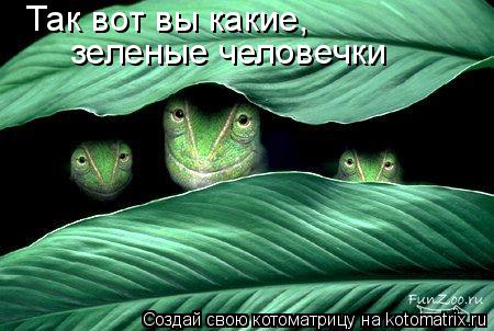 Так вот вы какие, зеленые человечки... Котоматрица: Так вот вы какие, зеленые человечки