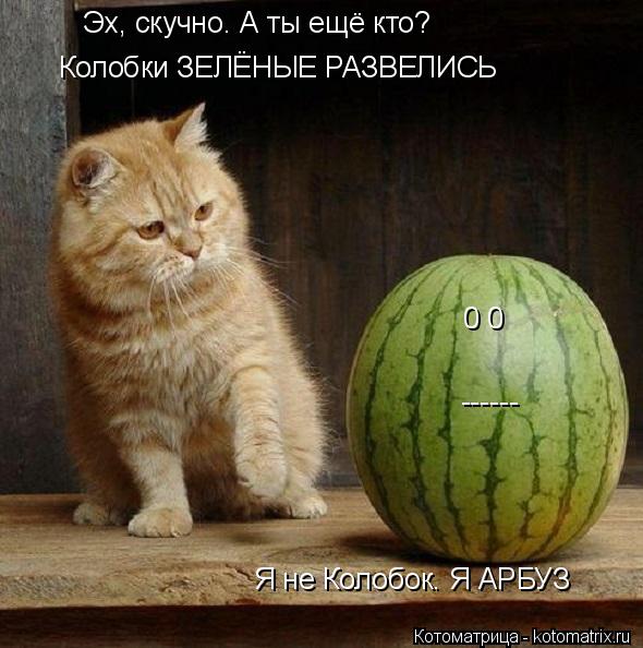 Эх, скучно. А ты ещё кто? Колобки ЗЕЛЁНЫЕ РАЗВЕЛИСЬ Я не Колобок. Я АРБУЗ 0 0 ------... Котоматрица: Эх, скучно. А ты ещё кто? Колобки ЗЕЛЁНЫЕ РАЗВЕЛИСЬ Я не Колобок. Я АРБУЗ 0 0 ------