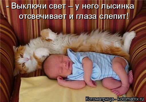 Котоматрица: - Выключи свет – у него лысинка  отсвечивает и глаза слепит!