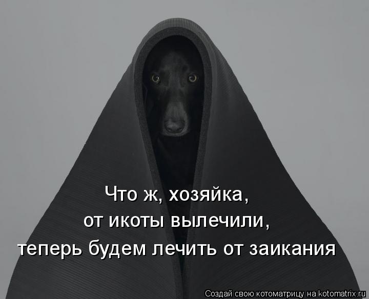 Что ж, хозяйка, от икоты вылечили, теперь будем лечить от заикания... Котоматрица: Что ж, хозяйка, от икоты вылечили, теперь будем лечить от заикания