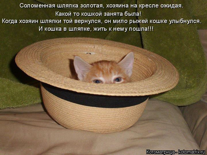 Какой то кошкой занята была! Соломенная шляпка золотая, хозяина на кресле ожидая. И кошка в шляпке, ж... Котоматрица: Какой то кошкой занята была! Соломенная шляпка золотая, хозяина на кресле ожидая. И кошка в шляпке, жить к нему пошла!!! Когда хозяин шляпки т