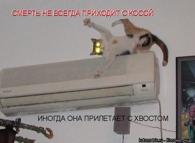 Котоматрица: СМЕРТЬ НЕ ВСЕГДА ПРИХОДИТ С КОСОЙ СМЕРТЬ НЕ ВСЕГДА ПРИХОДИТ С КОСОЙ ИНОГДА ОНА ПРИЛЕТАЕТ С ХВОСТОМ