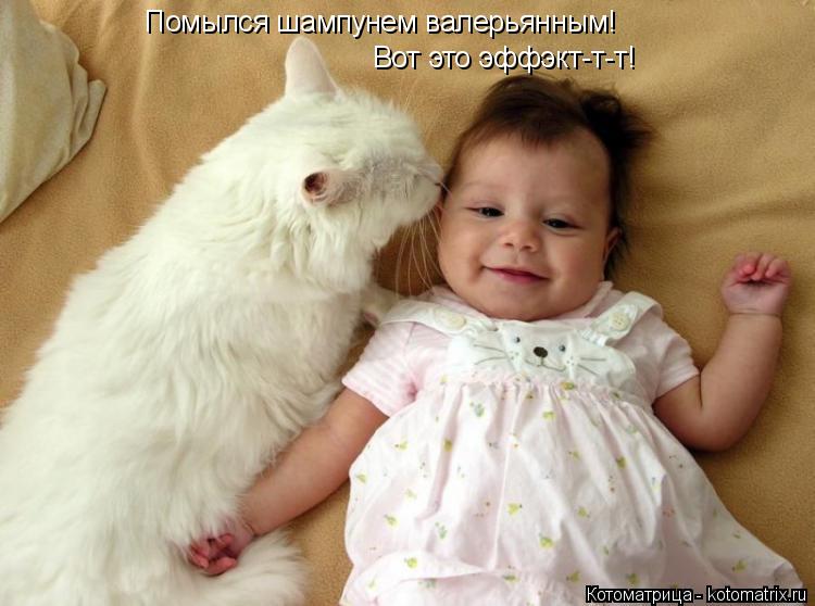 Котоматрица: Помылся шампунем валерьянным! Вот это эффэкт-т-т!