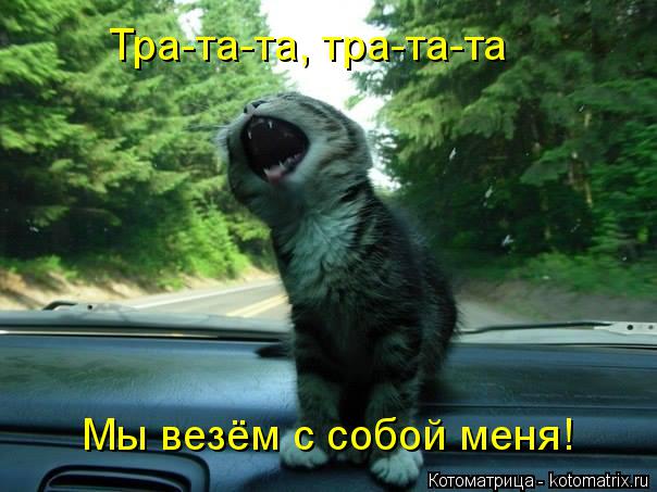 Тра-та-та, тра-та-та Мы везём с собой меня!... Котоматрица: Тра-та-та, тра-та-та Мы везём с собой меня!