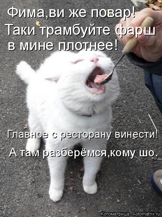 Котоматрица: Фима,ви же повар! Таки трамбуйте фарш  в мине плотнее! Главное с ресторану винести! А там разберёмся,кому шо.
