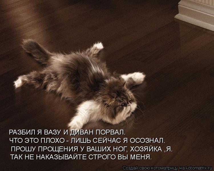 РАЗБИЛ Я ВАЗУ И ДИВАН ПОРВАЛ. ЧТО ЭТО ПЛОХО - ЛИШЬ СЕЙЧАС Я ОСОЗНАЛ. ПРОШУ ПРОЩЕНИЯ У ВАШИХ НОГ, ХОЗЯ... Котоматрица: РАЗБИЛ Я ВАЗУ И ДИВАН ПОРВАЛ. ЧТО ЭТО ПЛОХО - ЛИШЬ СЕЙЧАС Я ОСОЗНАЛ. ПРОШУ ПРОЩЕНИЯ У ВАШИХ НОГ, ХОЗЯЙКА ,Я. ТАК НЕ НАКАЗЫВАЙТЕ СТРОГО ВЫ МЕНЯ.