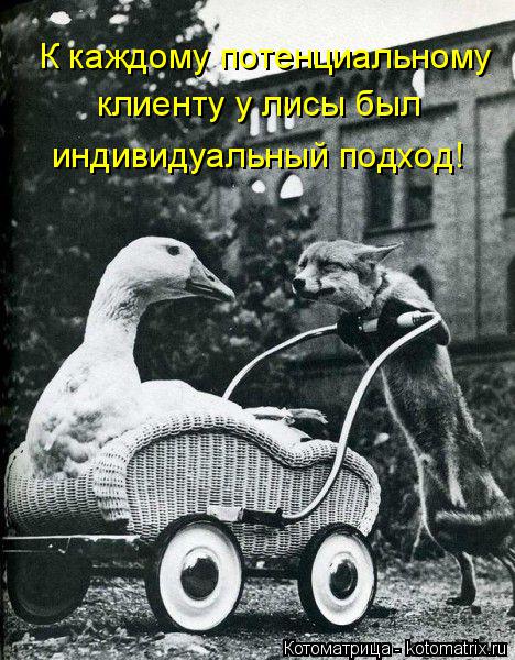 К каждому потенциальному клиенту у лисы был индивидуальный подход!... Котоматрица: К каждому потенциальному клиенту у лисы был индивидуальный подход!