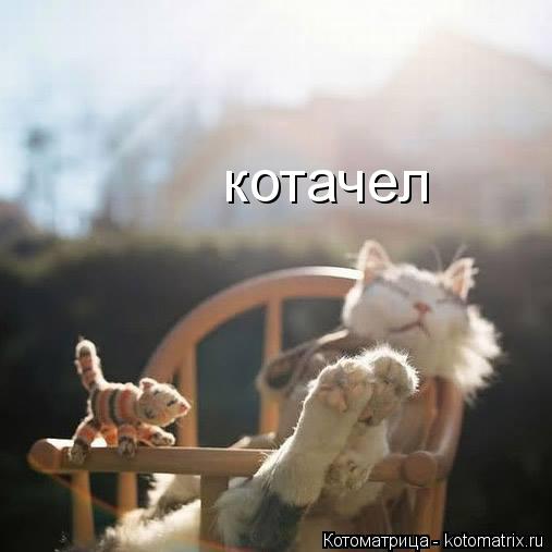 котачел... Котоматрица: котачел