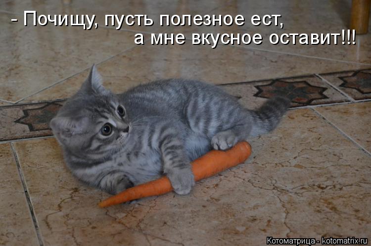 Котоматрица: - Почищу, пусть полезное ест, а мне вкусное оставит!!!