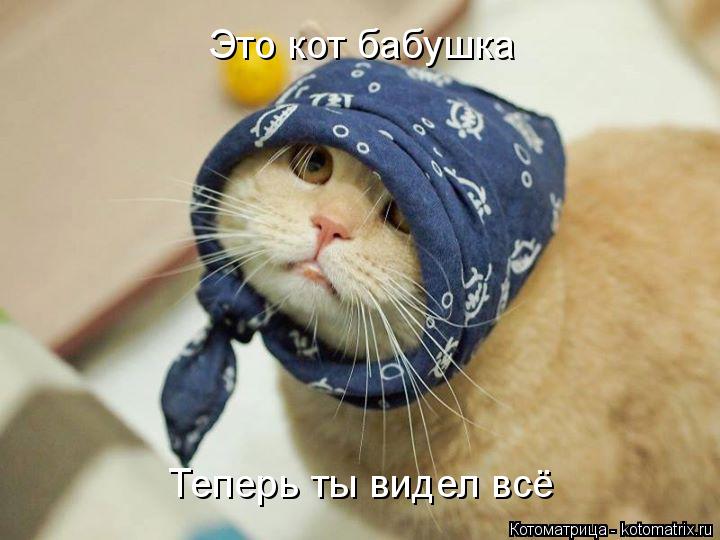 Котоматрица: Это кот бабушка Теперь ты видел всё