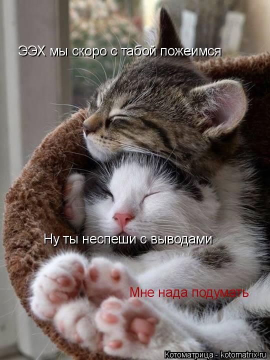 ЭЭХ мы скоро с табой пожеимся Ну ты неспеши с выводами Мне нада подумать... Котоматрица: ЭЭХ мы скоро с табой пожеимся Ну ты неспеши с выводами Мне нада подумать