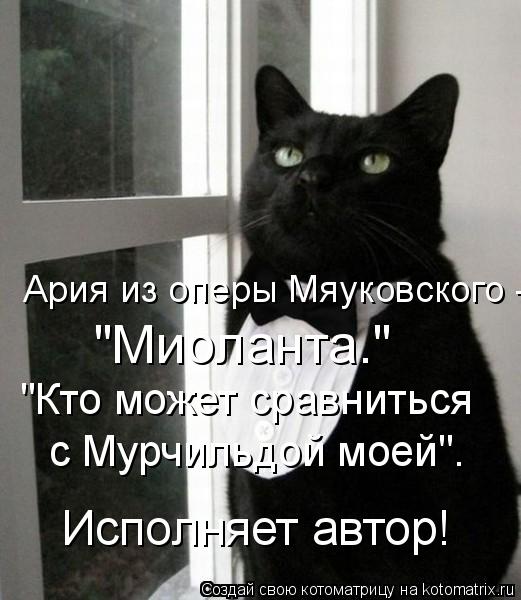 "Кто может сравниться с Мурчильдой моей". Исполняет автор! "Миоланта." Ария из оперы Мяуковского -... Котоматрица: "Кто может сравниться с Мурчильдой моей". Исполняет автор! "Миоланта." Ария из оперы Мяуковского -